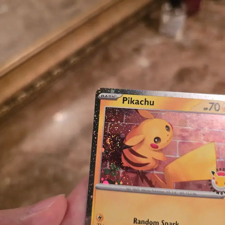 [BUNJANG] Pokemon 30th Anniversary Pikachu Swirl Album / 북미 30주년 스월 피카츄 앨범용1