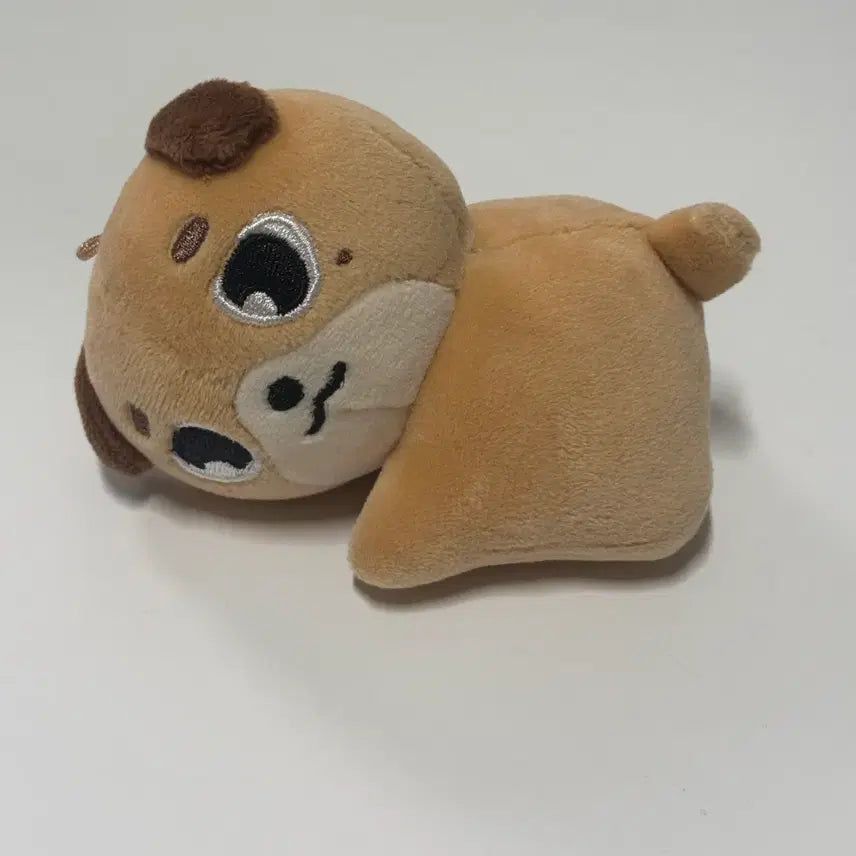 [BUNJANG] Day6 Dowoon Denimals Hand Warmer Doll / 데이식스 손난로 인형 데니멀즈 도운  원가이하양도