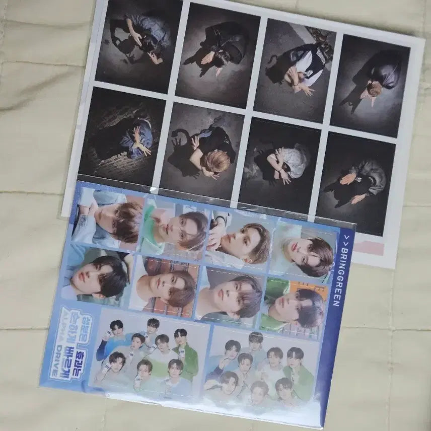 [BUNJANG] ALDY1 Workshop Sticker + Bring Green Sticker / 알디원 공방 스티커 + 브링그린 스티커
