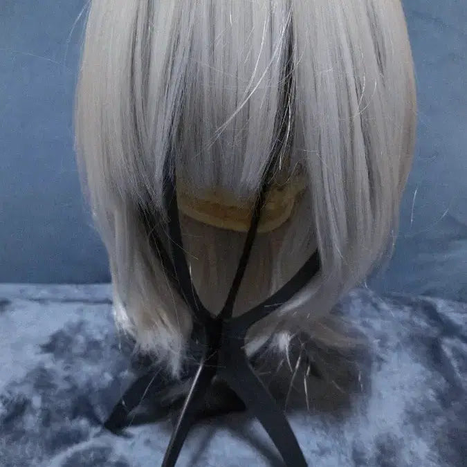 [BUNJANG] Light Gray Synthetic Wig with Hair Extensions / [운미포] 라이트그레이 연회색 컷가발+달비