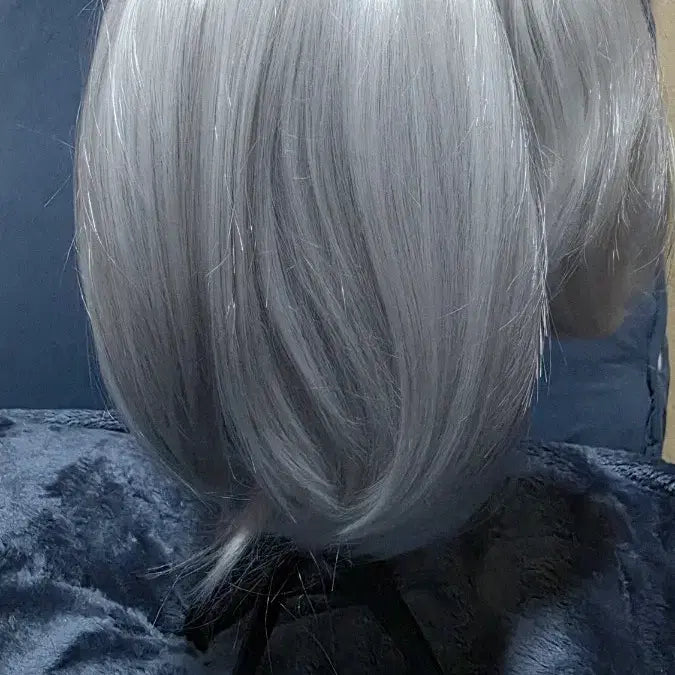 [BUNJANG] Light Gray Synthetic Wig with Hair Extensions / [운미포] 라이트그레이 연회색 컷가발+달비