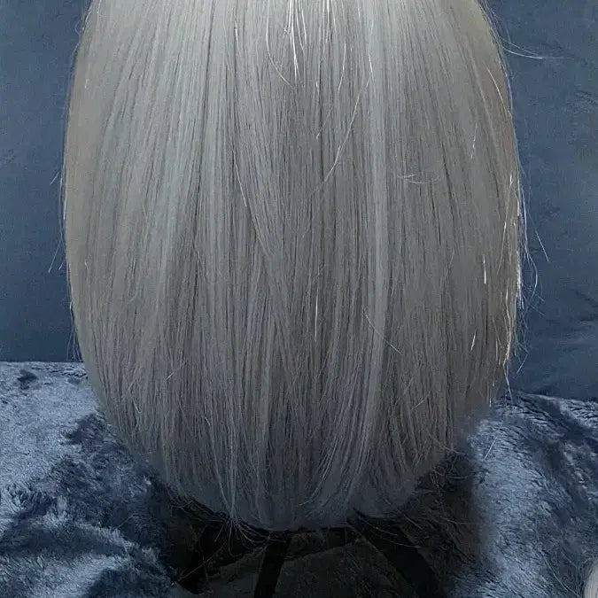 [BUNJANG] Light Gray Synthetic Wig with Hair Extensions / [운미포] 라이트그레이 연회색 컷가발+달비