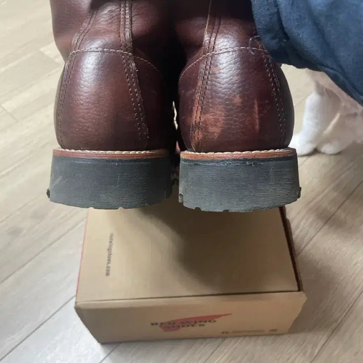 [BUNJANG] Red Wing 8146 Boots Brown 265 / 레드윙 8146 부츠 브라운 265