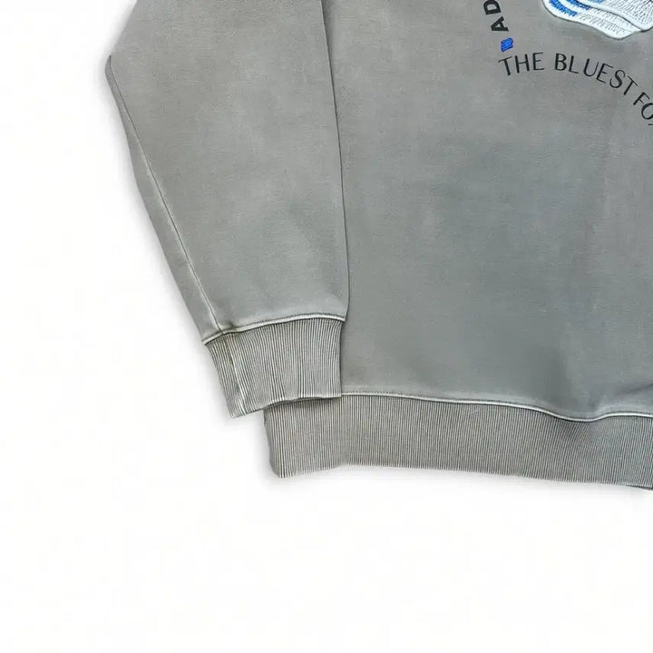 [BUNJANG] Ader Error x Maison Kitsuné Triple Fox Sweatshirt / 아더에러 x 메종키츠네 트리플폭스 맨투맨