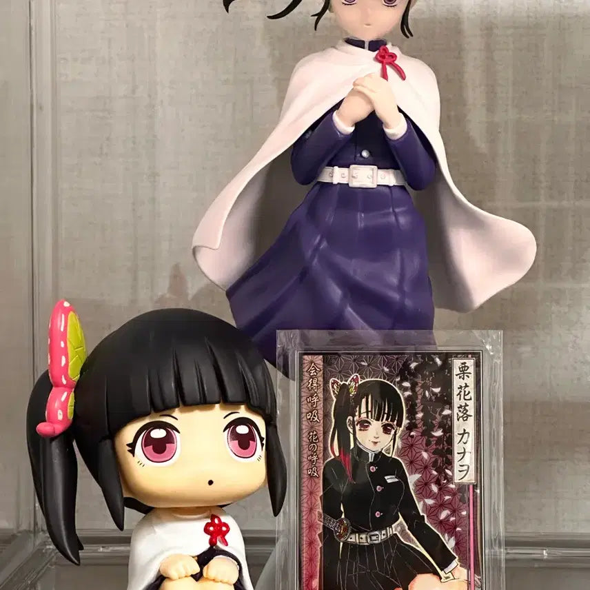 [BUNJANG] Demon Slayer Kanao Goods Set / 귀멸의칼날 카나오 굿즈 세트
