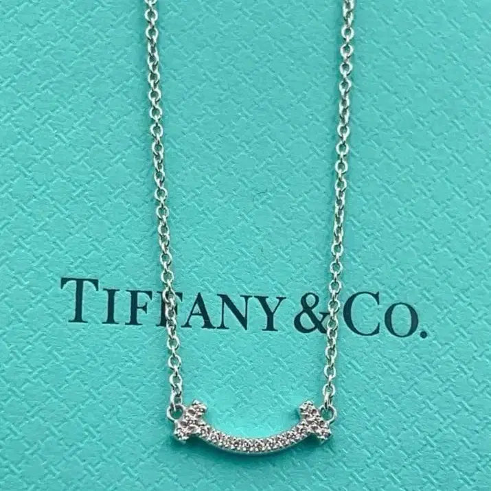 [BUNJANG] Tiffany &amp; Co. Smile Mini Diamond Necklace WG / 티파니앤코 스마일 미니 목걸이