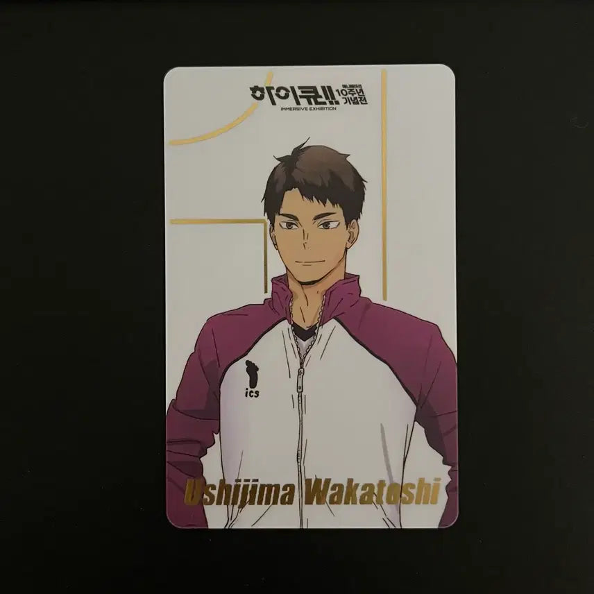 [BUNJANG] Haikyu 10th Anniversary Ushijima Wakatoshi Random Card / [택포] 하이큐 10주년 랜덤 카드 우시지마