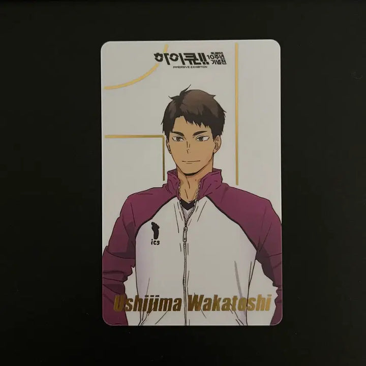 [BUNJANG] Haikyu 10th Anniversary Ushijima Wakatoshi Random Card / [택포] 하이큐 10주년 랜덤 카드 우시지마