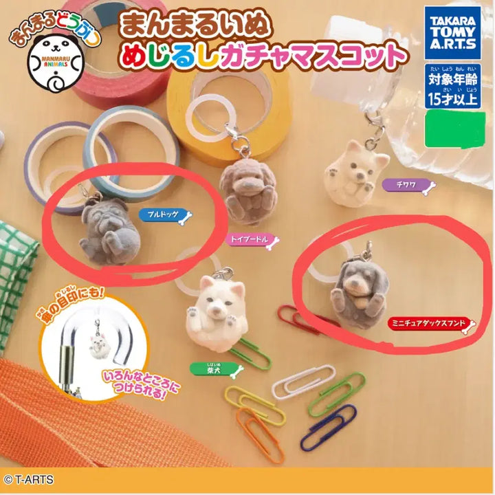 [BUNJANG] Mejirushi Dog Mascot Figure / 가챠 메지루시 개 마스코트 불독 닥스훈트