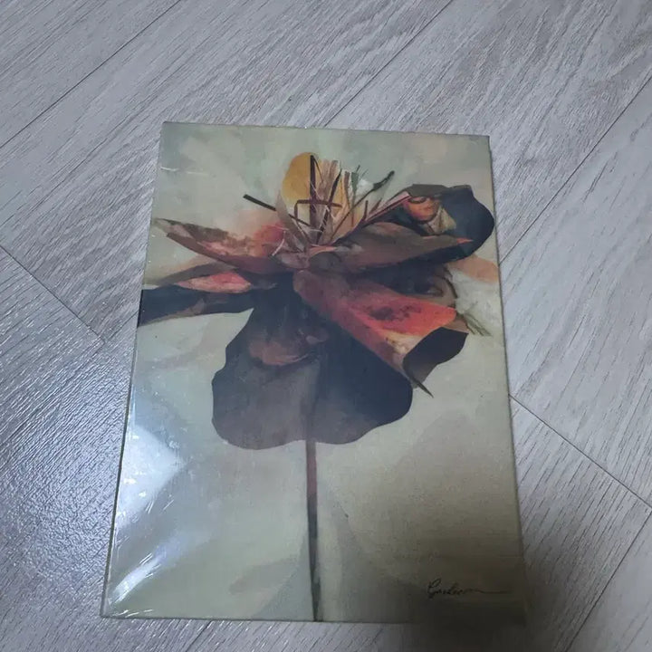 [SOLD OUT] 페노메코 garden 미개봉