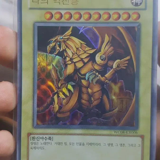 [SOLD OUT] 유희왕 월챔 삼환신 라의 익신룡 c급 팝니다