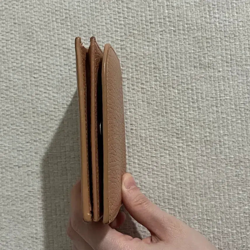 [BUNJANG] Minitmute Wallet (Indie Pink) / 미닛뮤트 지갑(인디핑크)