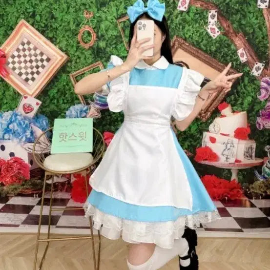 [BUNJANG] Alice in Wonderland Costume Rental / 졸업사진 이상한 나라의 앨리스  대여