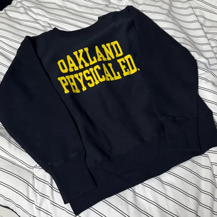 [BUNJANG] Champion Blue Tag Reverse Weave Sweatshirt XL / 챔피온 블루택 리버스위브 맨투맨 XL
