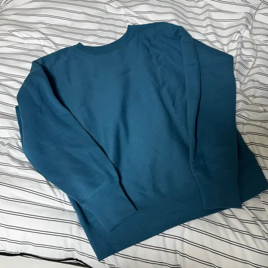 [BUNJANG] Champion Blue Tag Reverse Weave Sweatshirt XL / 챔피온 블루택 리버스위브 맨투맨 XL