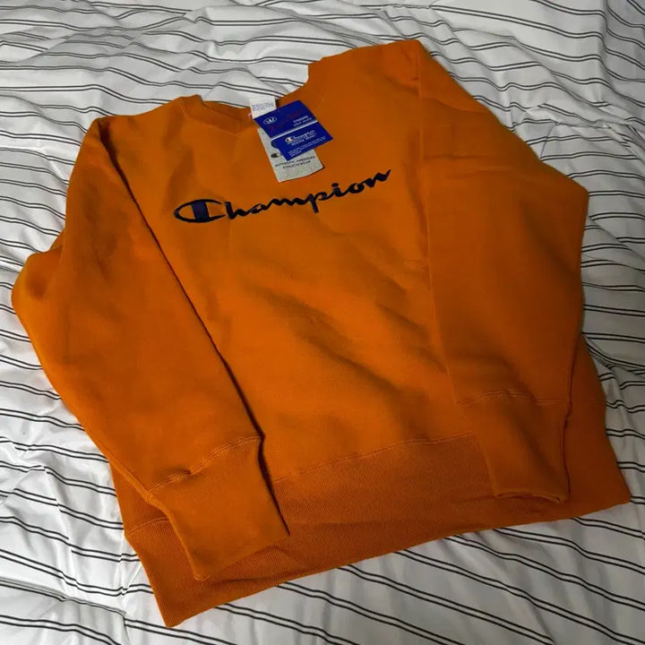 [BUNJANG] Champion Blue Tag Reverse Weave Sweatshirt XL / 챔피온 블루택 리버스위브 맨투맨 XL