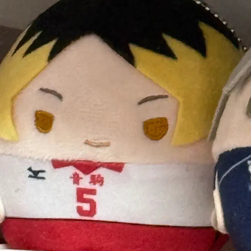 [BUNJANG] Haikyu Kenma Fuwa Kororin Small Plush / 하이큐 켄마 후와코로링 스몰 양도