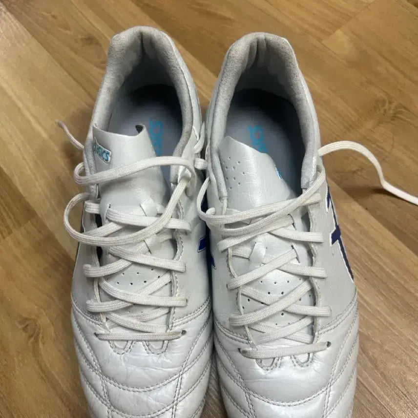 [BUNJANG] Asics DS Light Pro AG Soccer Cleats / 아식스 DS Light Pro AG 255