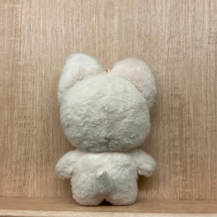[SOLD OUT] 스키주 아이엔 폭시니 양도
