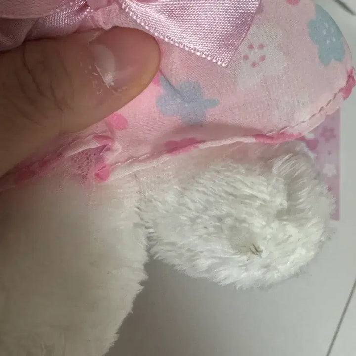 [BUNJANG] Sakura Kura Kura Kitty Plush / 22사쿠라 키티 누이