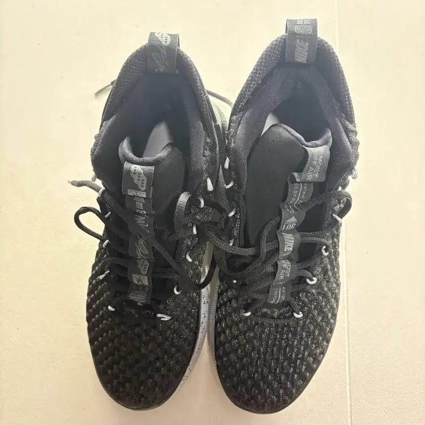 [SOLD OUT] 나이키 알파덩크 블랙 카본 파이버 270