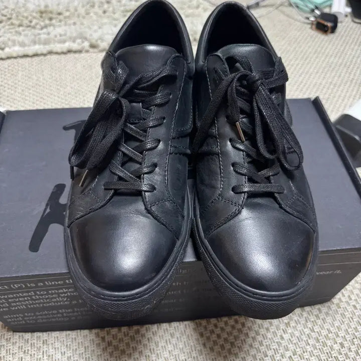 [SOLD OUT] 킨치 피노키 VEIN 301 270