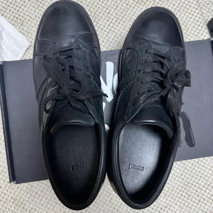 [SOLD OUT] 킨치 피노키 VEIN 301 270