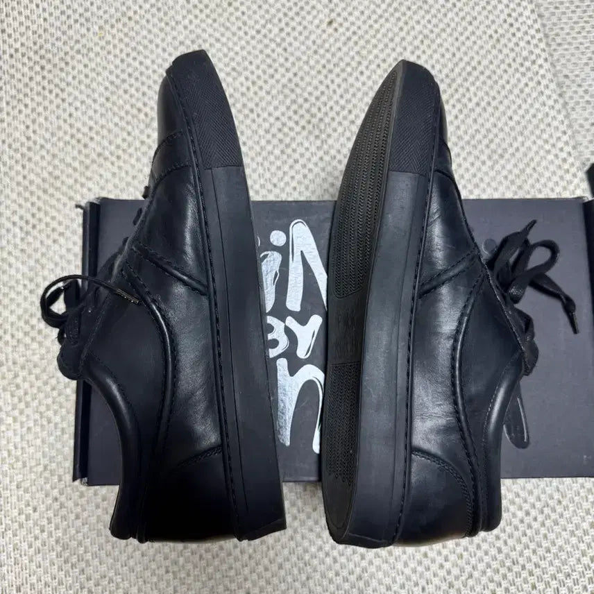 [SOLD OUT] 킨치 피노키 VEIN 301 270