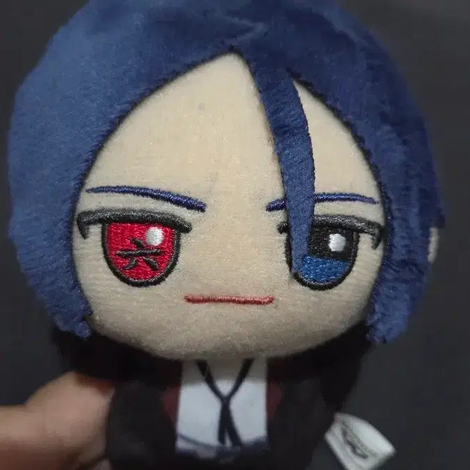[BUNJANG] Katekyo Hitman Reborn Mukuro Doll / 가히리 무쿠로 누이