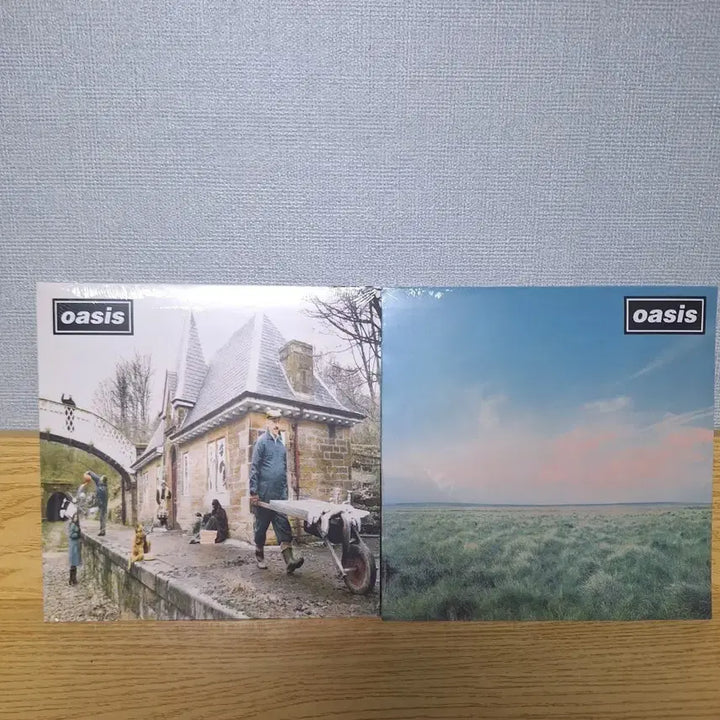 [BUNJANG] Oasis Whatever &amp; Some Might Say Vinyl LP / oasis미개봉품lp Whatever(예약중),some might say