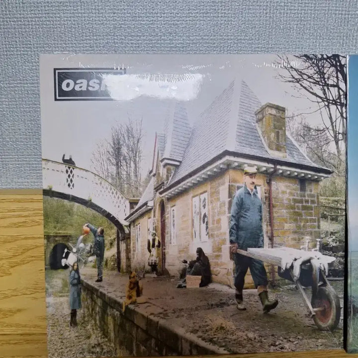 [BUNJANG] Oasis Whatever &amp; Some Might Say Vinyl LP / oasis미개봉품lp Whatever(예약중),some might say