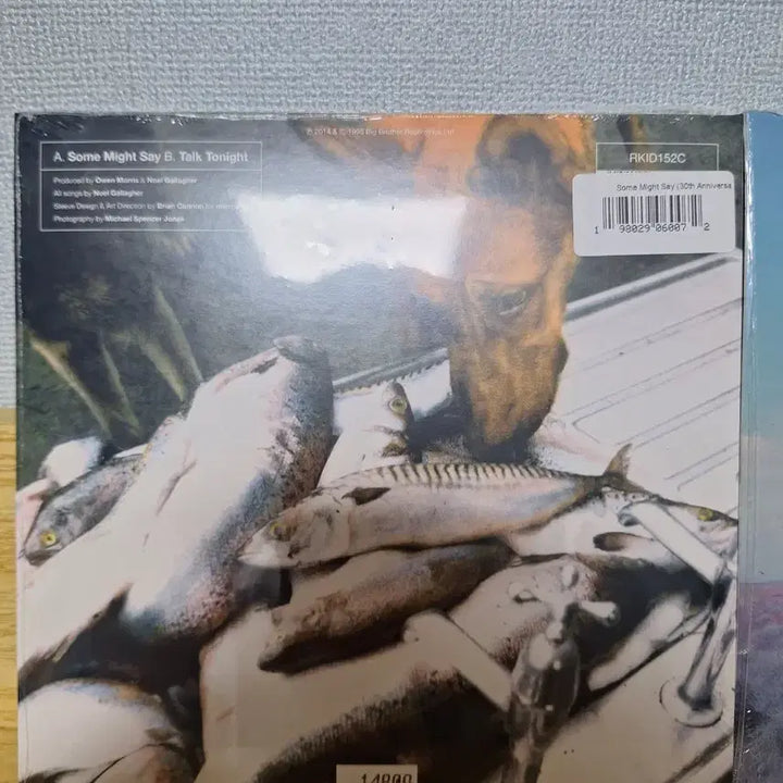 [BUNJANG] Oasis Whatever &amp; Some Might Say Vinyl LP / oasis미개봉품lp Whatever(예약중),some might say