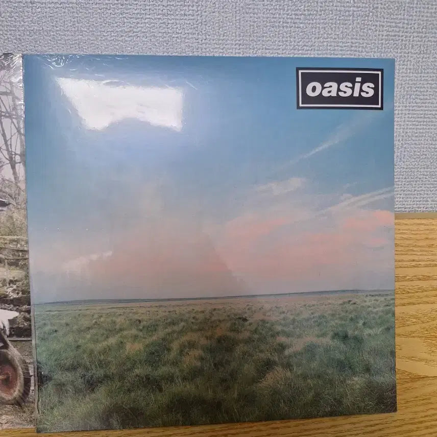 [BUNJANG] Oasis Whatever &amp; Some Might Say Vinyl LP / oasis미개봉품lp Whatever(예약중),some might say