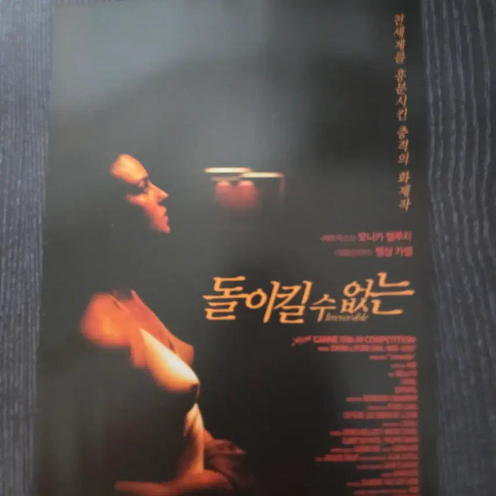 [BUNJANG] Irreversible Movie Flyer/Pamphlet / 영화전단지/영화자료/고전희귀>돌이킬수 없는