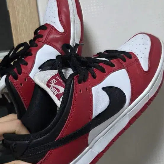 [BUNJANG] Nike Dunk Low Pro Chicago 275 / 덩크로우 프로 시카고 275