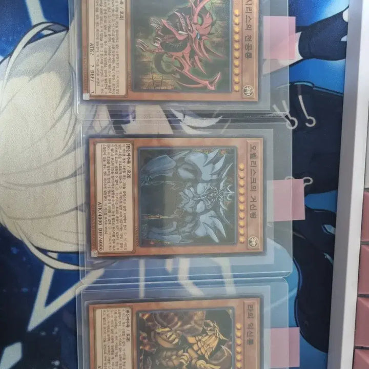 [BUNJANG] Yu-Gi-Oh! Gods Bundle Set / 유희왕 삼환신 일괄