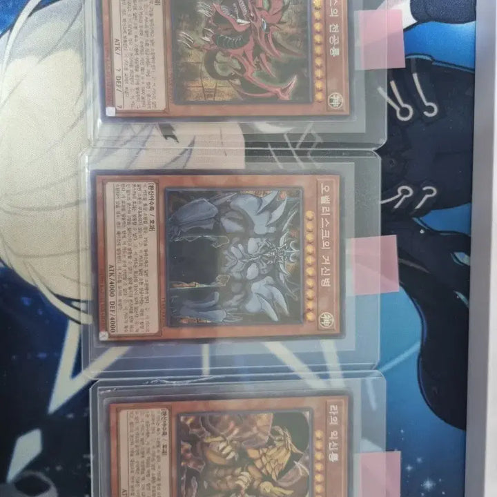 [BUNJANG] Yu-Gi-Oh! Gods Bundle Set / 유희왕 삼환신 일괄