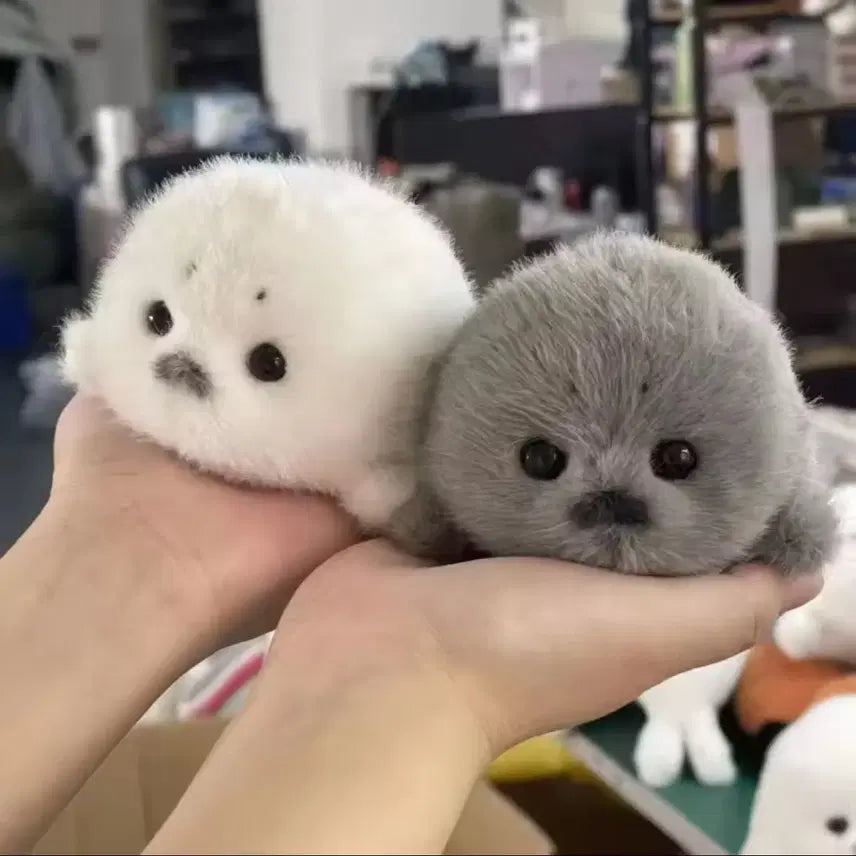 [BUNJANG] Half Seal Plush Toy White / 하프 물범 봉제인형 흰색