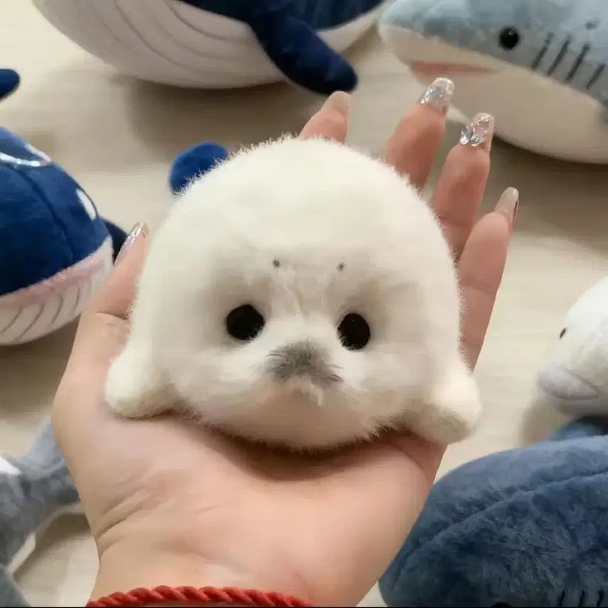 [BUNJANG] Half Seal Plush Toy White / 하프 물범 봉제인형 흰색