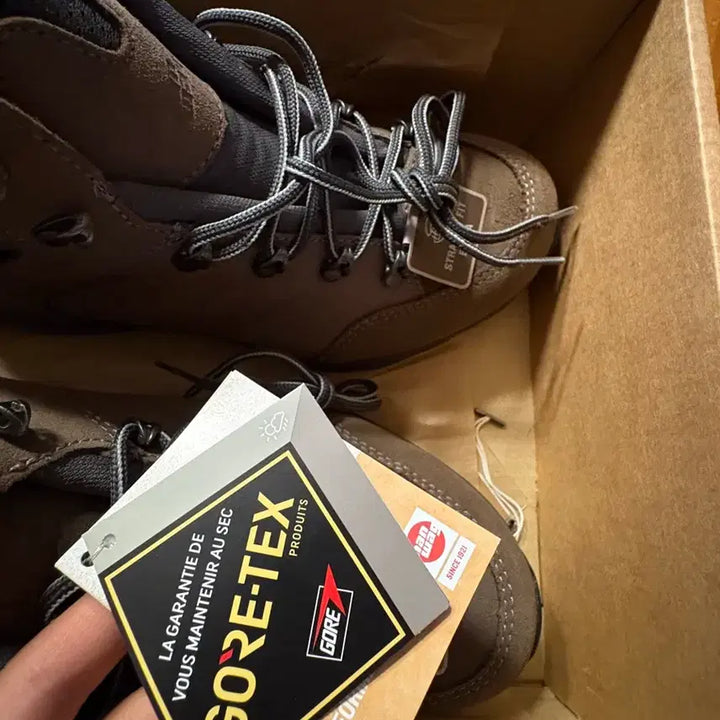 [BUNJANG] Hanwag Torsby SF Extra Lady GTX Hiking Boots / 한바그 토르스비 SF 엑스트라 레이디 우먼 GTX 카푸치노 245mm