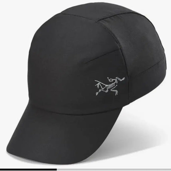 [SOLD OUT] 아크테릭스 칼버스 캡(XL)