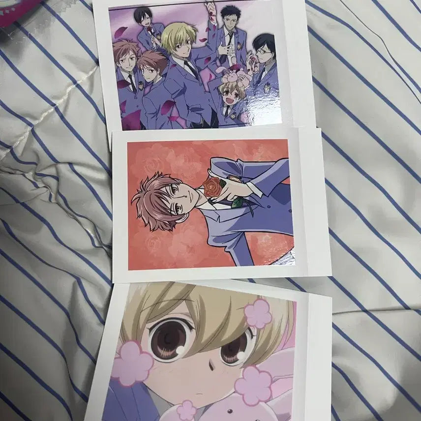 [BUNJANG] Ouran High Host Club Group Bundle Set / 오란고교 파샤 하니 카오루 단체 일괄