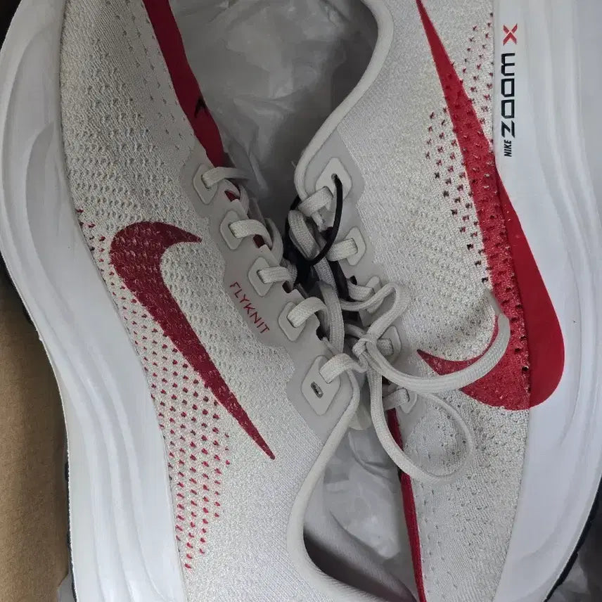 [BUNJANG] Nike Pegasus Plus Running Shoes / 나이키 페가수스 플러스