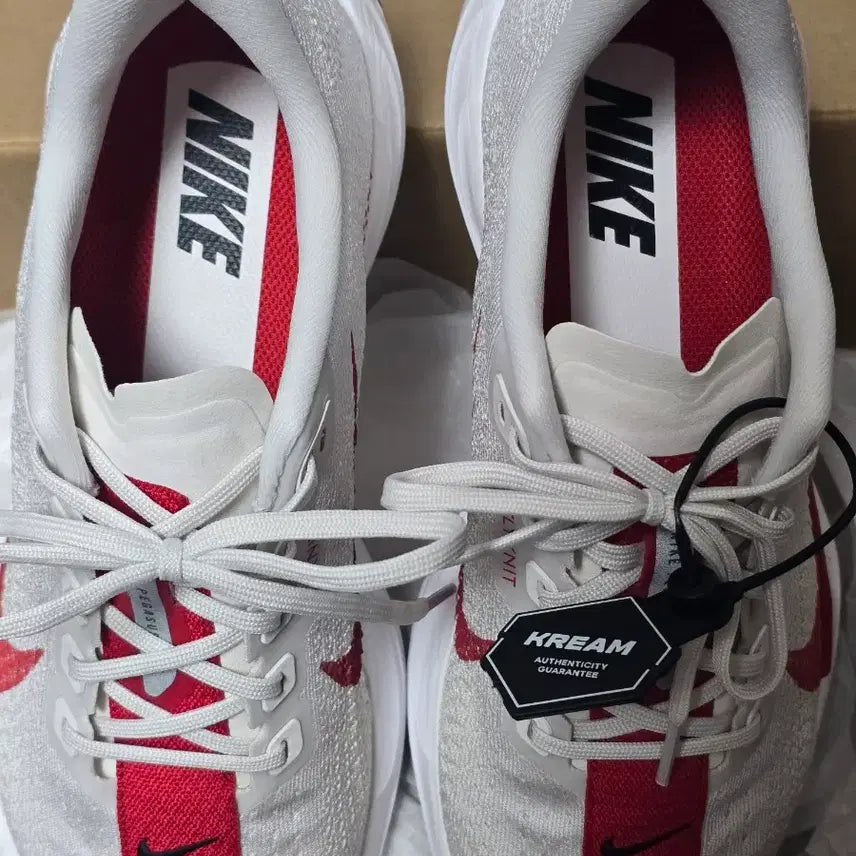 [BUNJANG] Nike Pegasus Plus Running Shoes / 나이키 페가수스 플러스