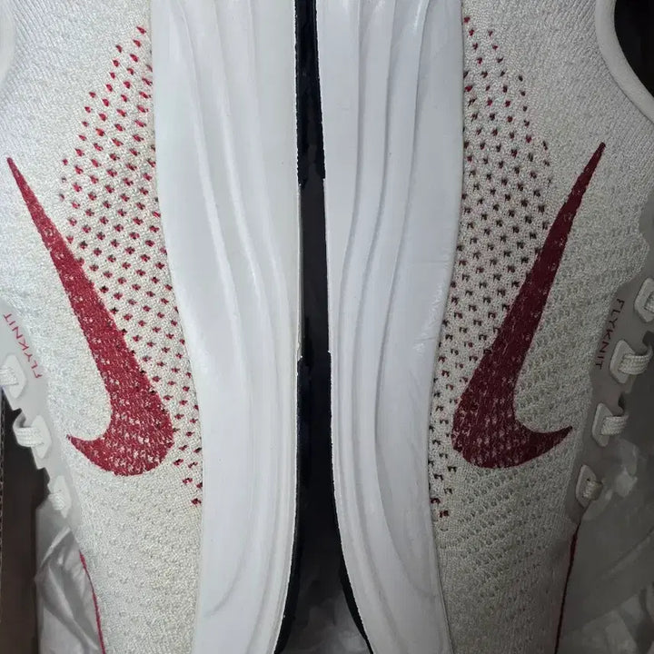 [BUNJANG] Nike Pegasus Plus Running Shoes / 나이키 페가수스 플러스