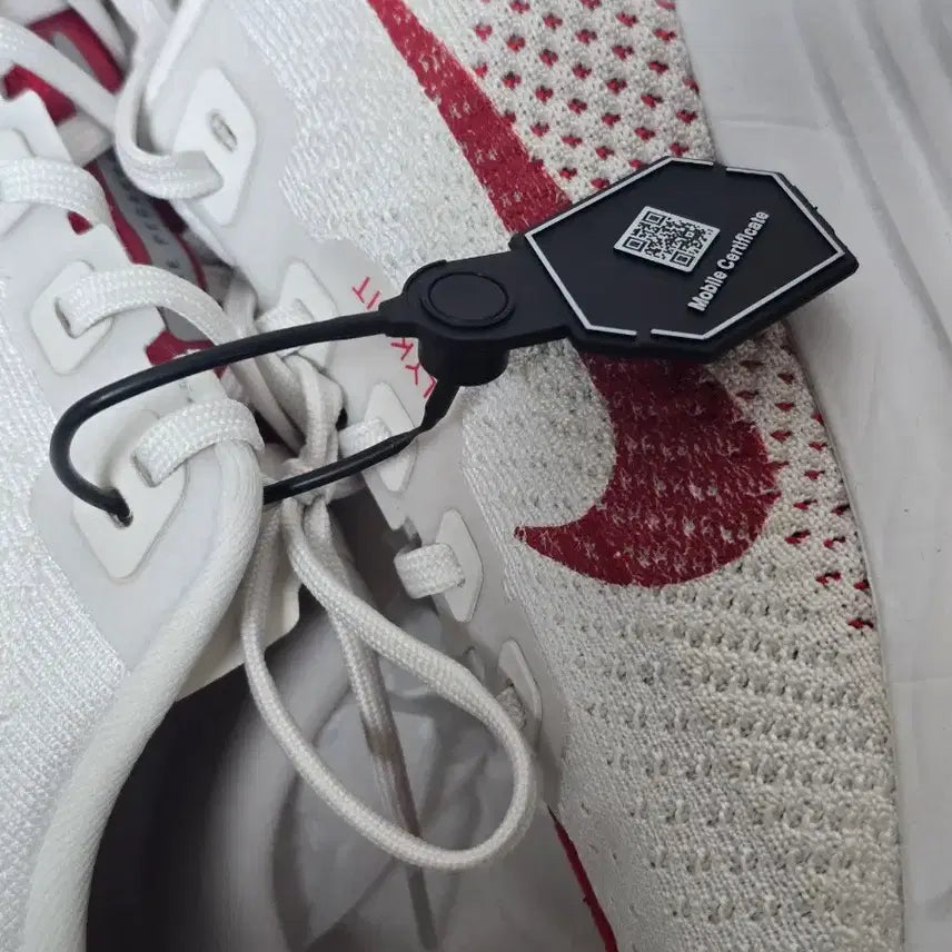 [BUNJANG] Nike Pegasus Plus Running Shoes / 나이키 페가수스 플러스