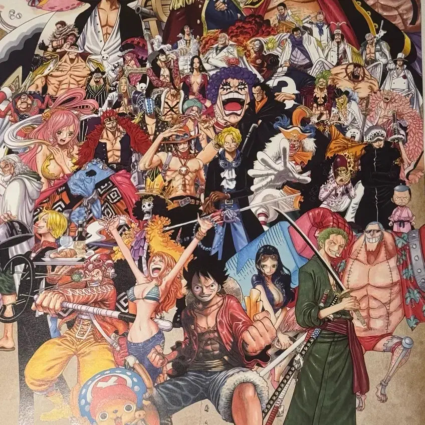 [BUNJANG] One Piece Original Illustration Poster / 원피스 원화 A1 포스터 &amp; 레고 원피스