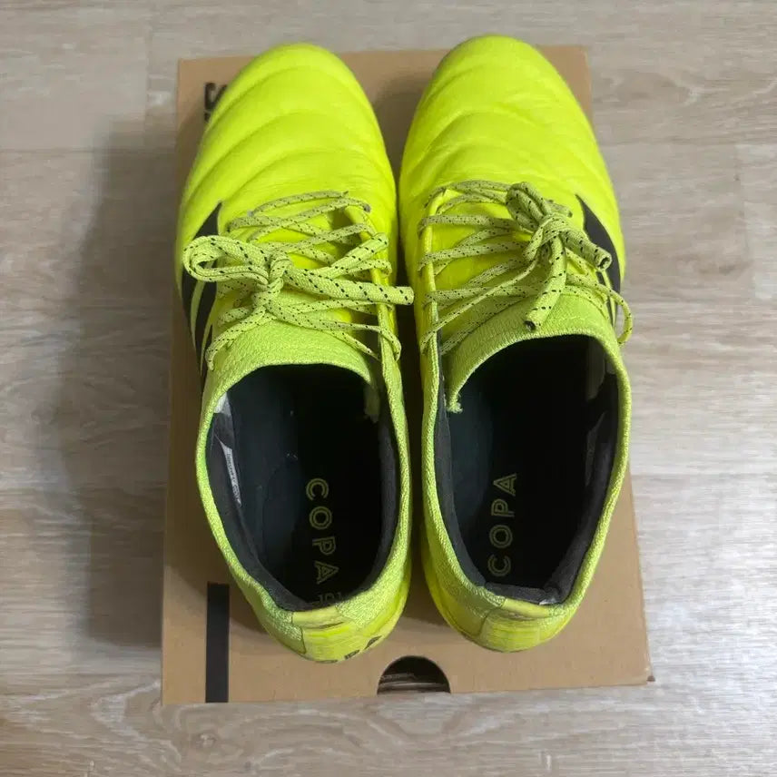[BUNJANG] Adidas Copa 19.1 AG Soccer Cleats / 아디다스 코파 19.1 ag 260