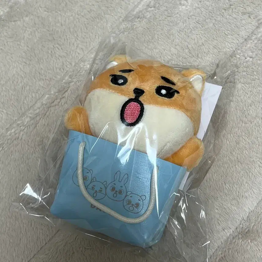 [SOLD OUT] 데이식스 일본 엠디 영케이 케 백참