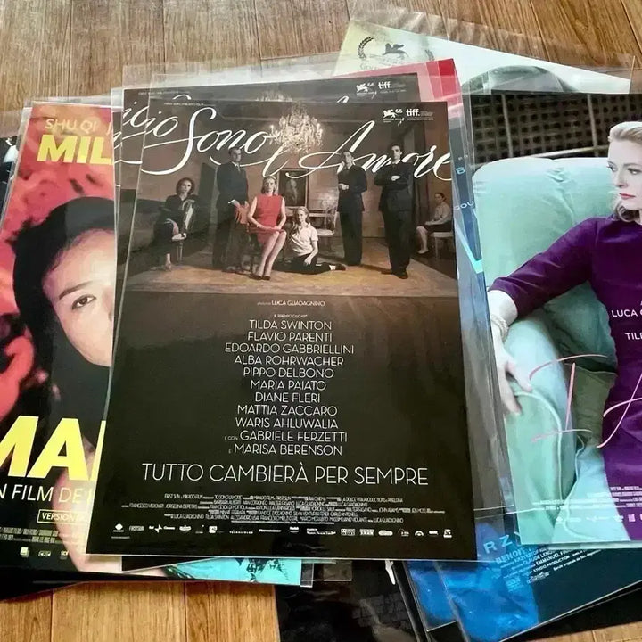 [BUNJANG] I Am Love Re-release Poster - Emma, Luca Guadagnino, Challengers Director, Tilda Swinton / 아이엠러브 재개봉 포스터 엠마 루카구아다니노 챌린저스감독 영화 틸다스윈튼